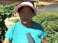 Хүлэмжний ногооны арчилгаа 2 mongolian women farmers association