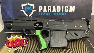 LL4D Paradigm Tactical Systems PDL - Overview with shots fired