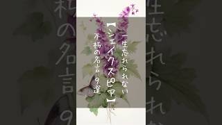 一生忘れられない【シェイクスピア】不朽の名言 9選 #名言 #名言集 #自己啓発 #シェイクスピア #shorts