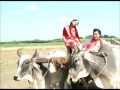 Kaun Disha Remax Dj Brajesh