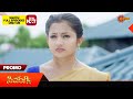 Sivangi - Promo | 25 Oct 2024 | Telugu Serial | Gemini TV