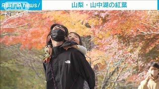 【絶景】色づく秋を満喫…山中湖「紅葉」めぐり(2022年11月5日)