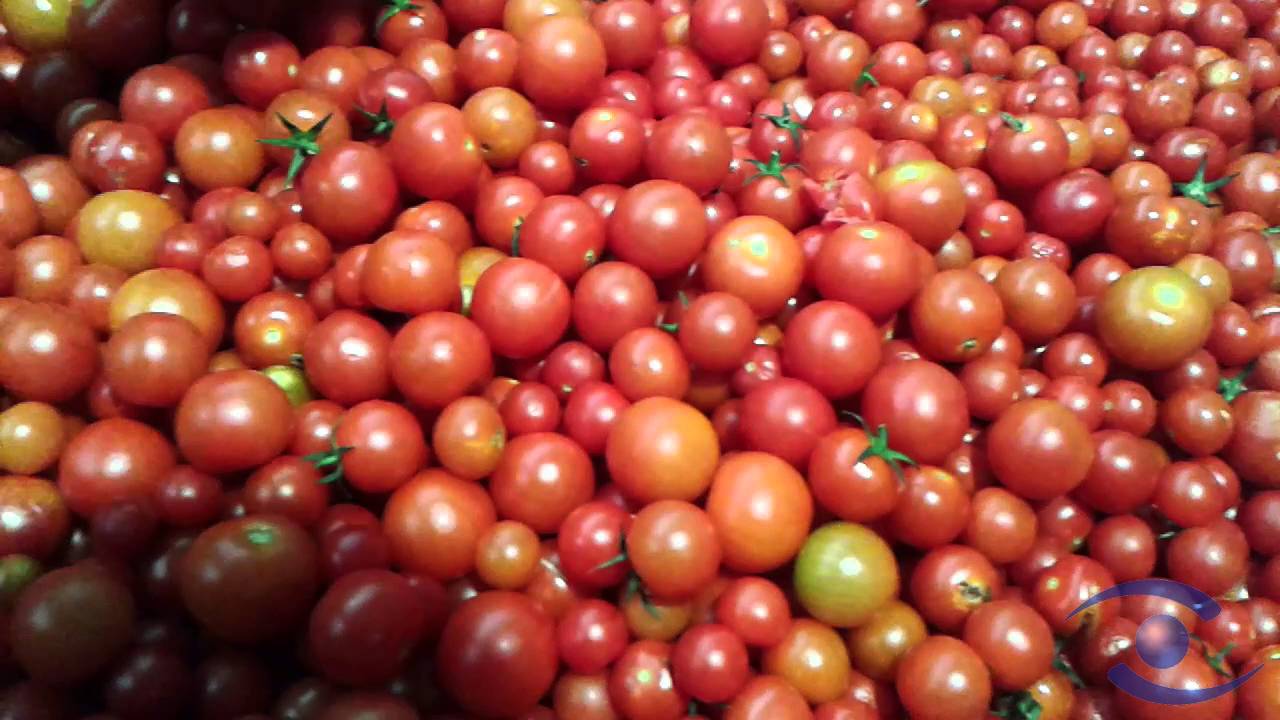 Multiscan S30tg Youtube