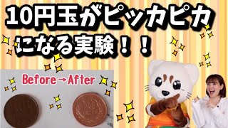 実験！【10円玉をピッカピカにしてみた】おうち遊び♪