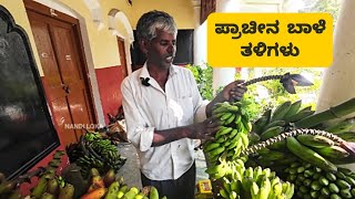 ದಕ್ಷಿಣ ಭಾರತದ ದೇಶೀ ಬಾಳೆ ತಳಿಗಳು | ಬೀಜದ ಕಲಪ್ಪನವರ ಸಾವಯುವ ಬಾಳೆ ಕೃಷಿ