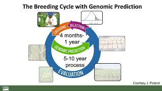 How should USDA breeding meet the challenges of climate change?