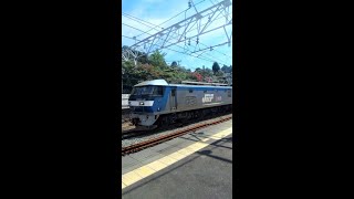 【金谷駅】JR貨物EF210形電気機関車・ECO-POWER桃太郎（静岡県）JR Freight Class EF210-140 Kanaya Station Shizuoka JAPAN TRAIN