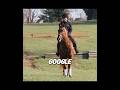 Google Vs. Pinterest-OTTB Edition-|| id:@strawbunnyx4601