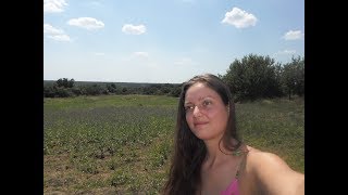 Распространенные Ошибки Поселенцев в Поместьях 🌼 6 Популярных Ляпов