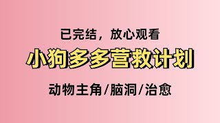 小狗总在便利店白吃火腿肠。为了付钱，我在它爪子上套了个手表。一天 20 块钱的额度，却怎么都不够花。#小说 #一口气看完 #治愈