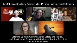 ACA3, Involuntary Servitude, Prison Labor, and Slavery | Catching Up With...