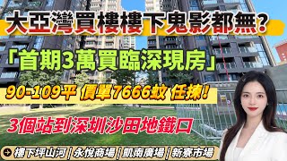 大亞灣買樓樓下鬼影都無？大亞灣臨深「潤合名居」 | 價單7666蚊 | 90-109平三至四房 | 樓下永悅商場 | 凱南廣場 | 新寮農貿市場 | 門口巴士站 | 3個站直達沙田地鐵 #大灣區樓盤