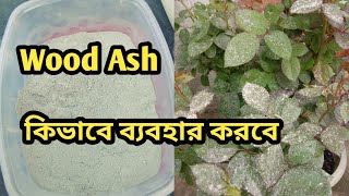 কাঠের ছাই কিভাবে ব্যবহার করবে/wood ash for plants