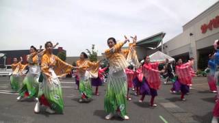 2016　草津エイスクエア　KOUGA彩風舞人　粋祭り