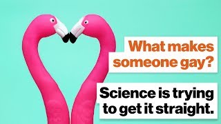 What makes someone gay? Science is trying to get it straight. | Alice Dreger | Big Think
