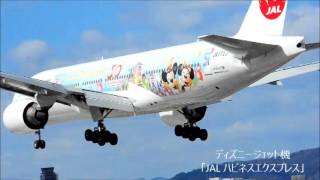 ディズニージェット機「JAL ハピネスエクスプレス」SUB4SUB