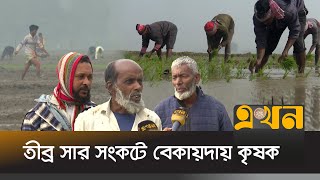 ডিলারদের কাছে বারবার ধর্না দিয়েও মিলছে না সার | Paddy News | Natore | Ekhon TV