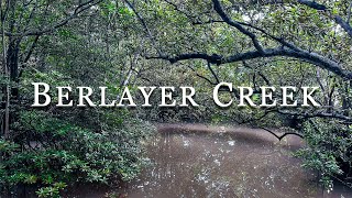 SINGAPORE PARKS - Berlayer Creek Boardwalk | Coastal Mangrove Near Labrador Park