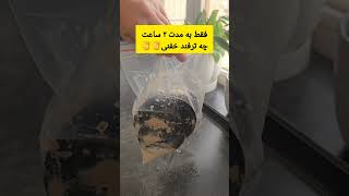 فقط با سرکه جوش شیرین لیمو سنگی مایه خمیر ابلیمو شعله گازم شد مثل روز اولش #ترفند #آموزش