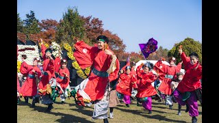 08 AOMORI花嵐桜組 総踊り「よっちょれ」