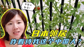 日本鄰居看見我打理的菜園，總是讚不絕口：中國人太厲害了！