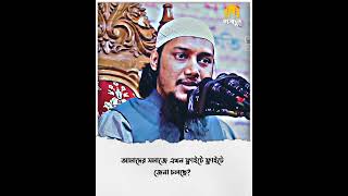 আমদের সমাজে এখন ফ্লাইটে ফ্লাইটে জেনা চলছে? Abu Toha Muhammad Adnan #আবু_ত্বহা_মুহাম্মদ_আদনান