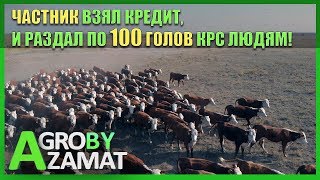 КАК ПОЛУЧИТЬ ПЛЕМЕННОЙ КРС БЕЗ КРЕДИТА?!