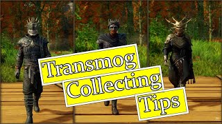 Transmog  Collecting Tips