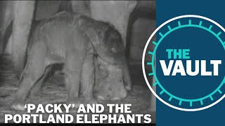 Portland's history of birthing baby elephants | KGW Vault