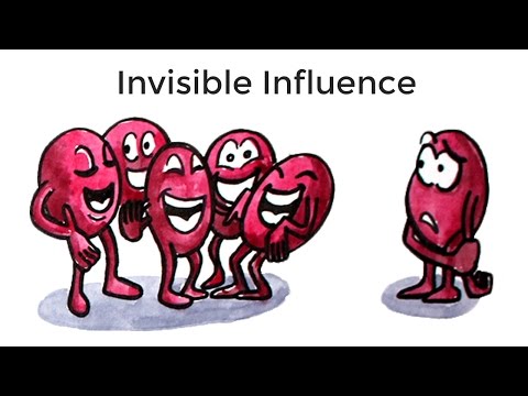 Why is social Behaviour important?
