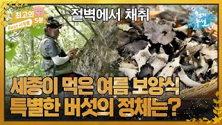 [최고의 5분_천기누설] 고기 애호가로 각종 성인병에 시달렸던 세종의 특별 여름철 보양식은?!