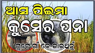 KUSER PANA/ SUGARCANE Prepared/BENDER VILLAGE/ Craft of living @Divineodisha12