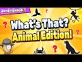 What's That? Animal Edition | Brain Break | Guess Who? Games For Kids | GoNoodle Inspired