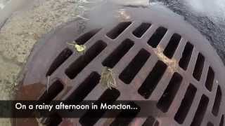 ECOCURIOUS VLOG #13: Stormwater Management in Moncton