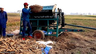 Bajra Harvester full process Vlog /  By MUKKALAF RAJPUT