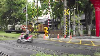 阿里山線新款警示燈平交道(New level crossing signals)