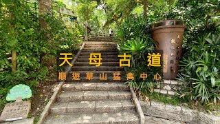 [台北士林] 天母古道輕鬆走，順遊草山猛禽中心、豆留森林