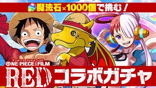 ワンピースコラボガチャ100連生放送！！【パズドラ】