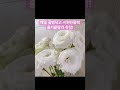 화병청소 치유 꽃꽂이 힐링 꽃다발 꽃배송 생화 생화꽃다발 꽃선물 루담하우스 flower 화병 거베라 ㄹ시안셔스 백합