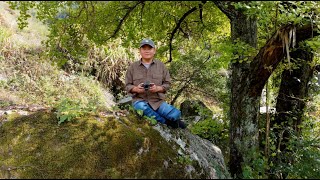 探访麻城小山村，老俩口银杏树下恬静生活，阿南内心无比羡慕