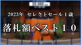 【セレクトセール１歳】高額落札馬