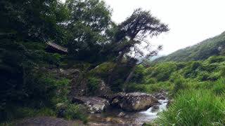 아름다운 자연의 소리/ Sounds of nature / 편안한 계곡물소리와 새소리 / Relaxing valley water and birdsong