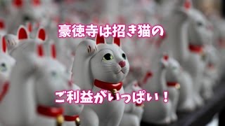 豪徳寺の招き猫はご利益もいっぱい！