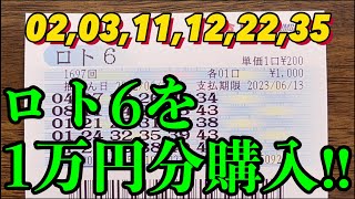 全て自分で数字を選んだロト６を１万円分(５０口)購入した結果発表！！