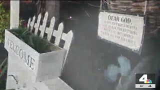 Aliens in Compton? Home security camera captures strange creature