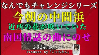 今朝の中間浜の風景と付近の花が咲いていたのをこまどり姉妹の「南国情話」の曲にのせてみました  2024 07 03