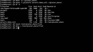 Mounting a GlusterFS Volume