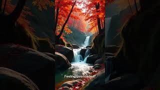 Sound Therapy For Sensory Overload