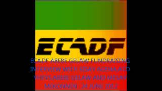 ECADF ABEBE GELAW FUNDRAISING INTERVIEW WITH SISAY AGENA,ATO YHEYS,ABEBE GELAW AND MESAY MEKONNEN  24 JUNE 2012