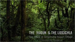 The Bugun and the Liocichlia_The Story of Singchung Village Community Reserve ( Hindi Subtitles)